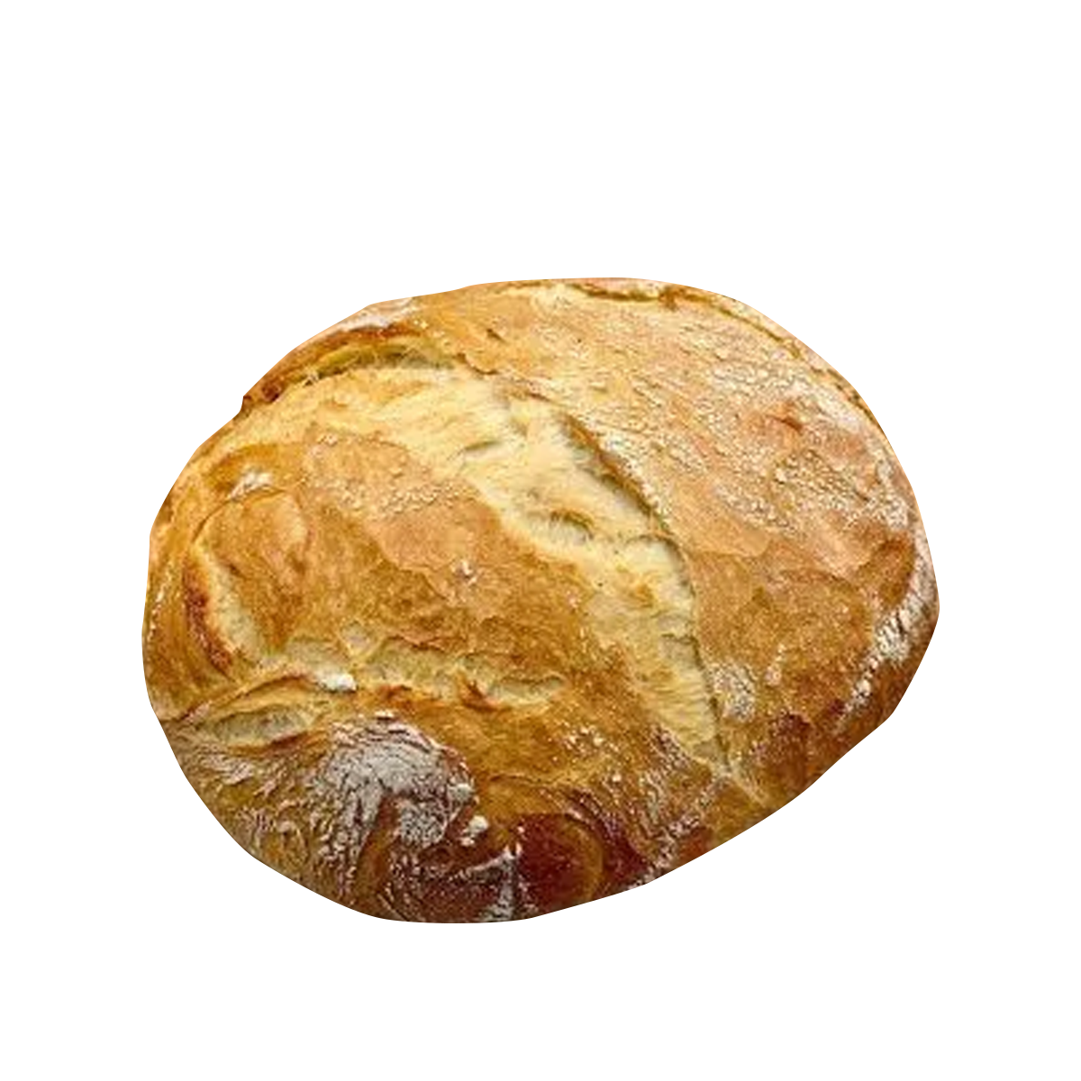 Dried sourdough starter, Backsauer R22